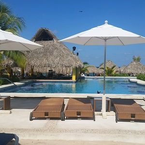 Meet your Posher, Eva